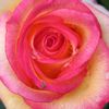 user36name629