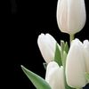 ester.rina51