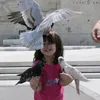 hager_vibesh