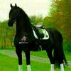 user2488683828188
