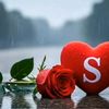 shayanyt36