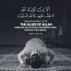 user6781904120087