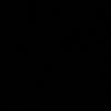 timorex_23