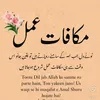 zarabibi9755