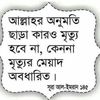 wadod.wadod538