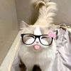 lluv.sofi5