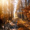 yazdan_ahmad96