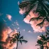 skeira_p