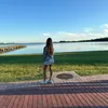 violi_27