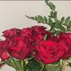 khalafalghamdi6