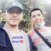 harlan.pemalang