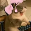 aymi_blox3