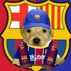 kevinmateo428