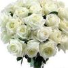 user_45473