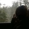 bbln_505