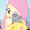 fluttrdsh