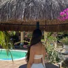 vanessinhaalop