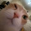 mr_sensacional