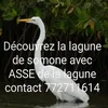 assedelalagunedesomone