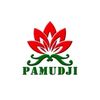 pamudjii_