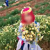 romayssae_sal