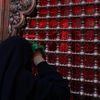 زَهراء