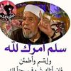 mohmed.mohmed4186
