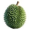 gold.krong.pak