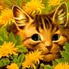 rust_muncher