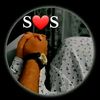 shakir.tanha293