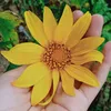 aria.ngo