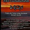 neni23221