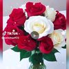 dhibleyda203