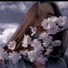user36110080659456