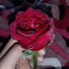 alone_gril606