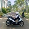 ownernya_dlyz