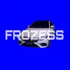fr0zess_052