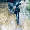 blackbosy35