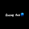 quang12anh8