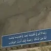 313aood313