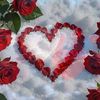 rana.faisal6038