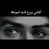 user5170081587569