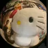dpanh_suri