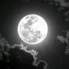maryam_yuri333.029