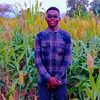 user7347157426028