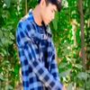 l.lay511