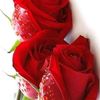 inam.ulhaq020