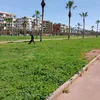 safiy.comc