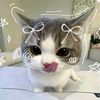jo_.xih