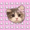 kayyyyl7.aa